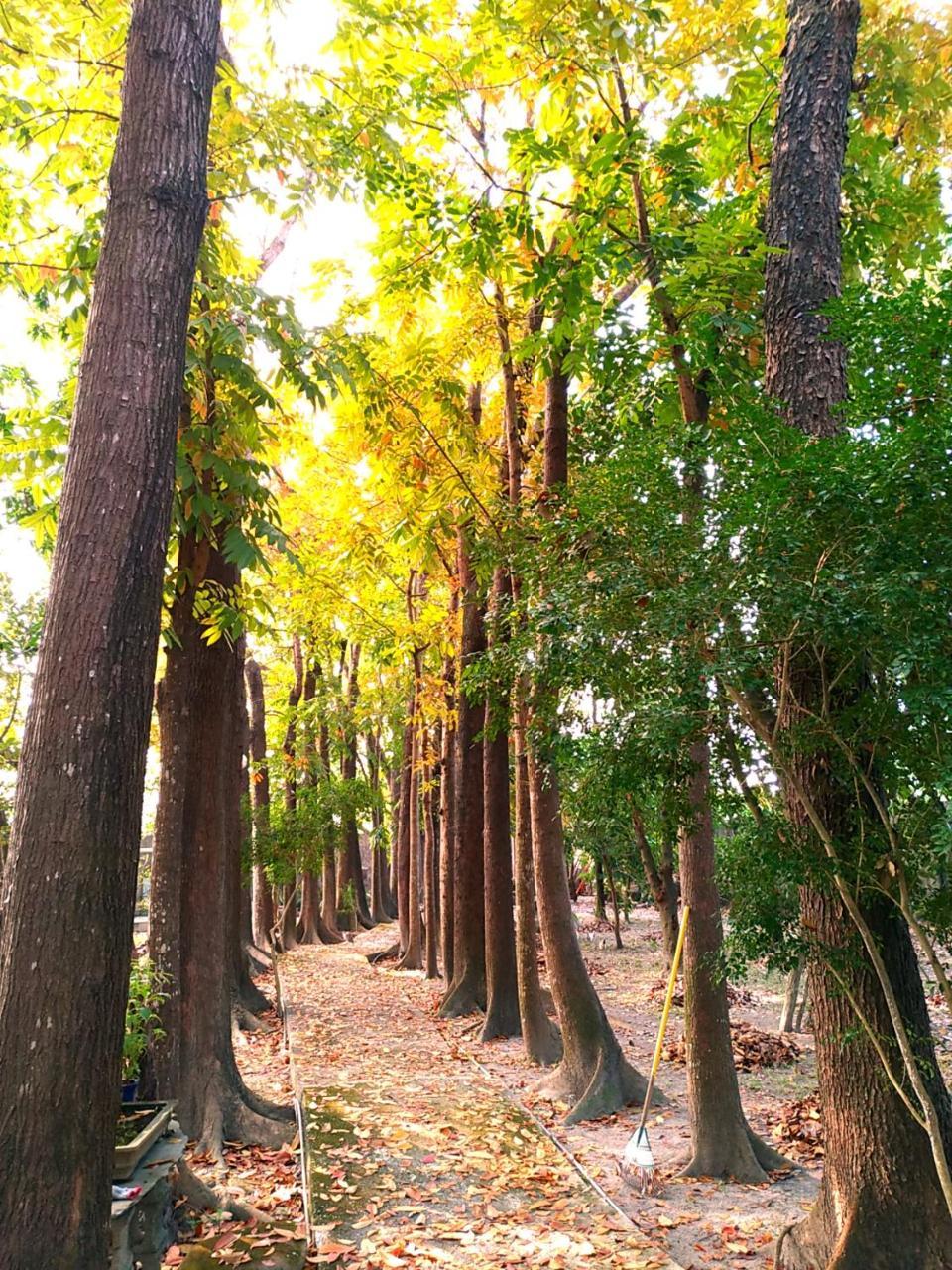 Meinong Yun Shanju Homestay Mei-nung Kültér fotó